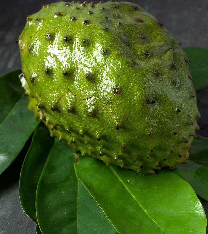 Soursop: A Tropical Treasure Rediscovered Soursop: A Tropical Treasure Rediscovered